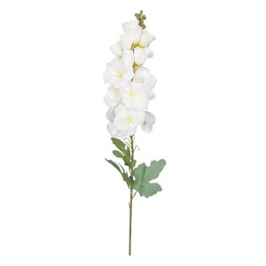 LEWKONIA POJEDYNCZA ET884 CREAM