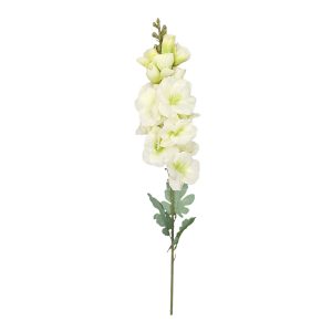 LEWKONIA POJEDYNCZA ET884 GREEN EDGE LT.PINK