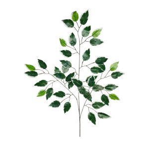 LIŚĆ FIKUS KP2610 GREEN WHITE