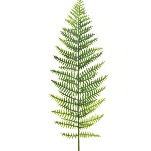 LIŚĆ PAPROĆ TIK030 POWDER LT.GREEN