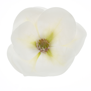 MAGNOLIA WYROBOWA WEI1017 WHITE GREEN