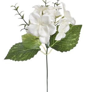 HORTENSJA NA PIKU LIU287 #62 WHITE