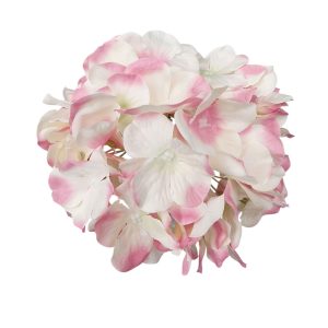 HORTENSJA WYROBOWA LEC-1 PINK CREAM GREEN