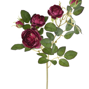 RÓŻA GAŁĄZKA MINI SUN760 BURGUNDY GREEN