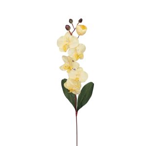 STORCZYK KP3005 YELLOW MIX26