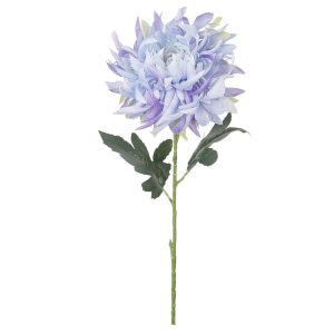 CHRYZANTEMA POJEDYNCZA KP2618 BLUE VIOLET GREEN