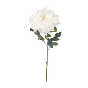 CHRYZANTEMA POJEDYNCZA KP2618 CREAM