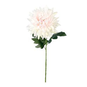 CHRYZANTEMA POJEDYNCZA KP2618 CREAM LT.PINK GREEN
