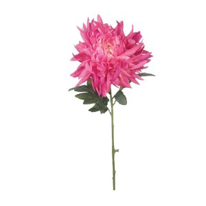 CHRYZANTEMA POJEDYNCZA KP2618 PINK FUCHSIA