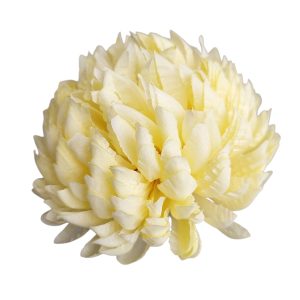 CHRYZANTEMA WYROBOWA ANANAS WW4014 LT.YELLOW #XYYE514