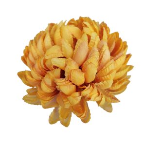 CHRYZANTEMA WYROBOWA ANANAS WW4014 #XYPE753 HONEY