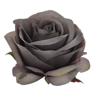 RÓŻA WYROBOWA SUN385 BEIGE BROWN