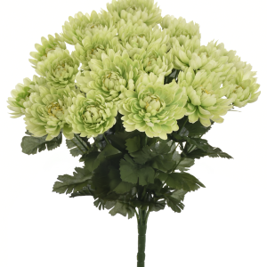 BUKIET CHRYZANTEMA SUN777 BURN GREEN MIX3
