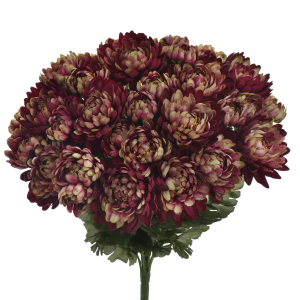 BUKIET CHRYZANTEMA SUN778 BURGUNDY GREEN MIX4