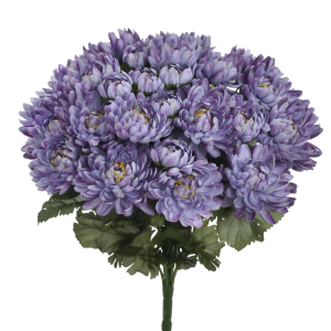 BUKIET CHRYZANTEMA SUN778 GRAPE MIX4