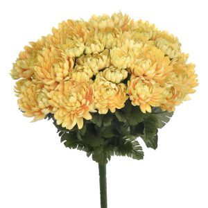 BUKIET CHRYZANTEMA SUN778 SUNNY YELLOW MIX4