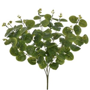 BUKIET EUKALIPTUS EUK004 LT.GREEN