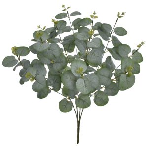 BUKIET EUKALIPTUS EUK004 POWDER GREEN