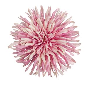 CHRYZANTEMA WYROBOWA WW2600 #8 MAUVE