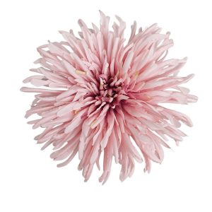 CHRYZANTEMA WYROBOWA WW2600 #9 DK.MAUVE