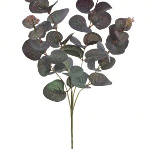 EUKALIPTUS GAŁĄZKA LIU465 PURPLE GREEN