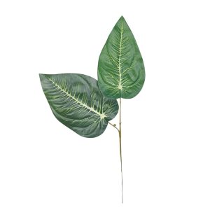 LIŚĆ HOSTA A097