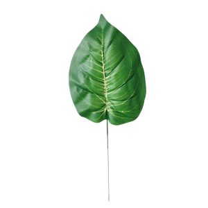 LIŚĆ HOSTA H016A-02