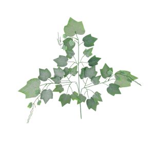 LIŚĆ WINOGRONO OMSZAŁE RP005 DARK GREEN