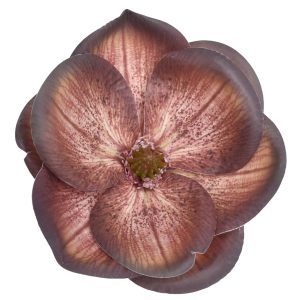 MAGNOLIA WYROBOWA WEI1017 BURN BROWN