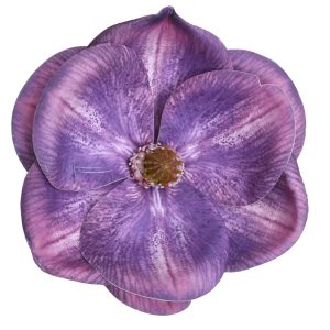 MAGNOLIA WYROBOWA WEI1017 PURPLE