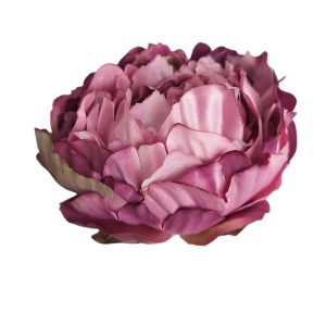 PIWONIA WYROBOWA DC2626F DIRTY VIOLET MIX1