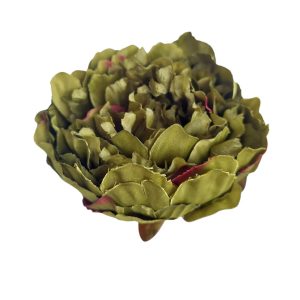PIWONIA WYROBOWA DC2626F GREEN MIX1