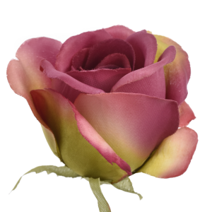 RÓŻA WYROBOWA MGHT #55 MAGENTA