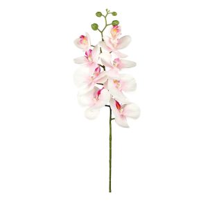 STORCZYK ZB008 CREAM PINK