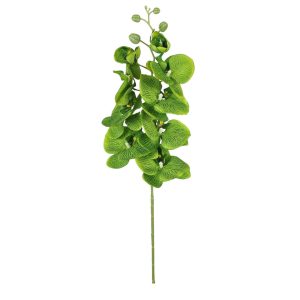 STORCZYK ZB008 DK.GREEN