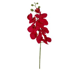 STORCZYK ZB008 DK.RED