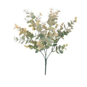 BUKIET EUKALIPTUS DODATEK DL030621 GREEN PEACH