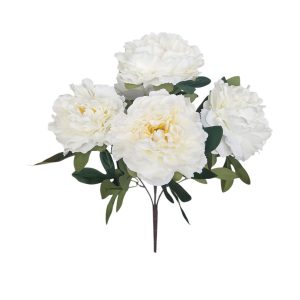 BUKIET PIWONIA DL020415 CREAM