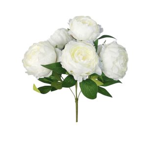 BUKIET PIWONIA DL030310 CREAM