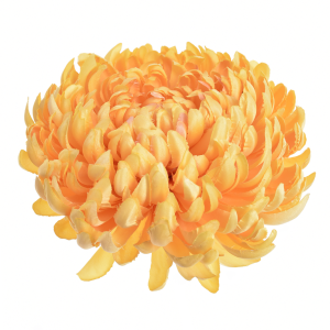 CHRYZANTEMA WYROBOWA ART009 #51 DARK YELLOW
