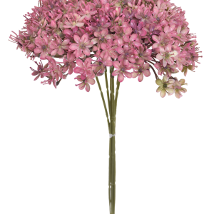 CZOSNEK NA PIKU BUK1030 PINK