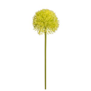 CZOSNEK POJEDYNCZY DL031508 YELLOW