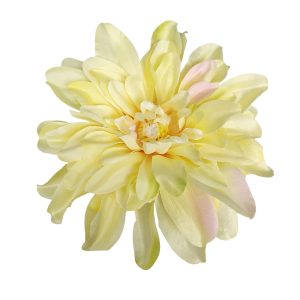 DALIA WYROBOWA L046 YELLOW GREEN