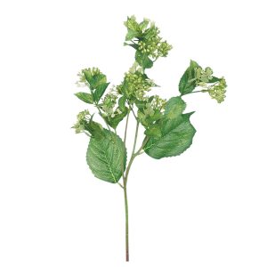 GAŁĄZKA KULECZKI DL031501 GREEN