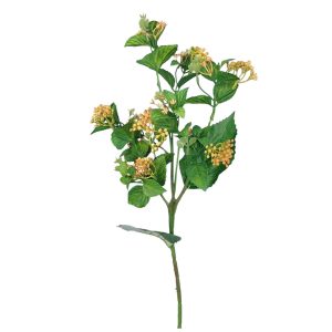 GAŁĄZKA KULECZKI DL031501 ORANGE