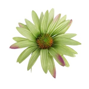 JEŻÓWKA WYROBOWA AL012 AUT GREEN