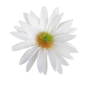 JEŻÓWKA WYROBOWA AL012 WHITE #05