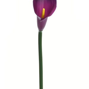 KALLA POJEDYNCZA ANA1013 #109S PURPLE