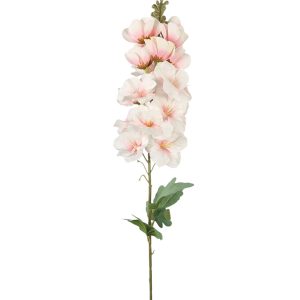 LEWKONIA POJEDYNCZA ET884 CREAM PINK