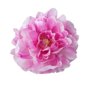 PIWONIA WYROBOWA L057 LT.LILAC